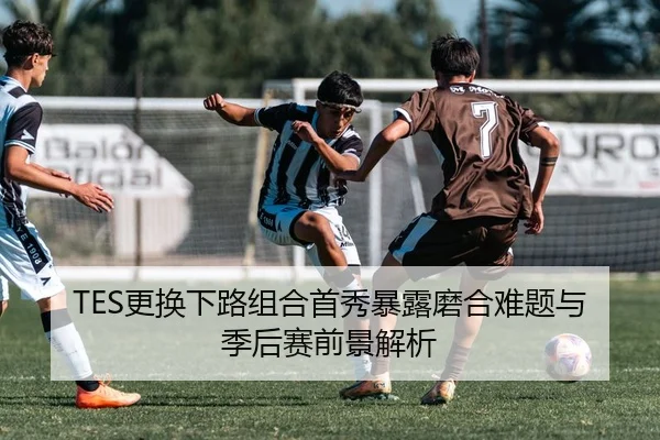TES更换下路组合首秀暴露磨合难题与季后赛前景解析